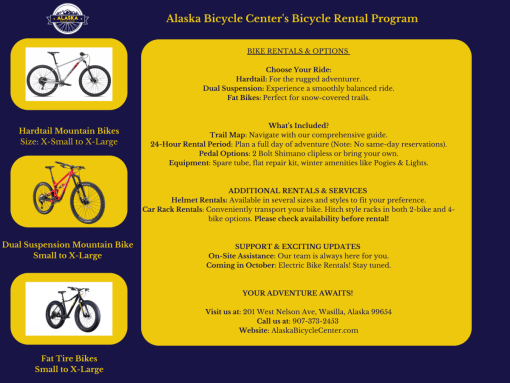 Bicycle Rental - Image 2